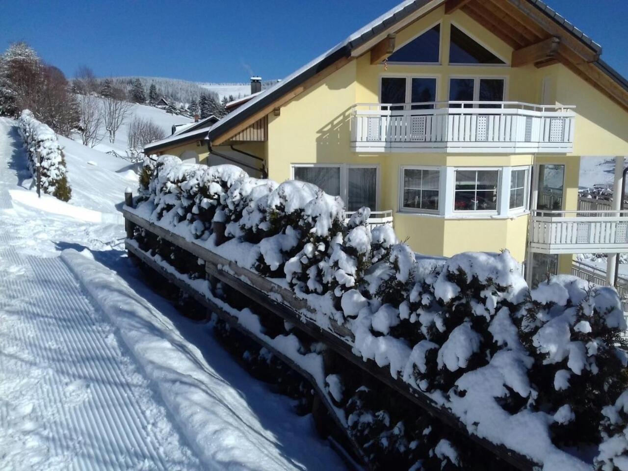"Schwarzwaldblick" Ferienwohnung 2-4 Pers 65Qm, Schoene Ruhige Suedhanglage Mit Herrl Aussicht Todtnau Buitenkant foto