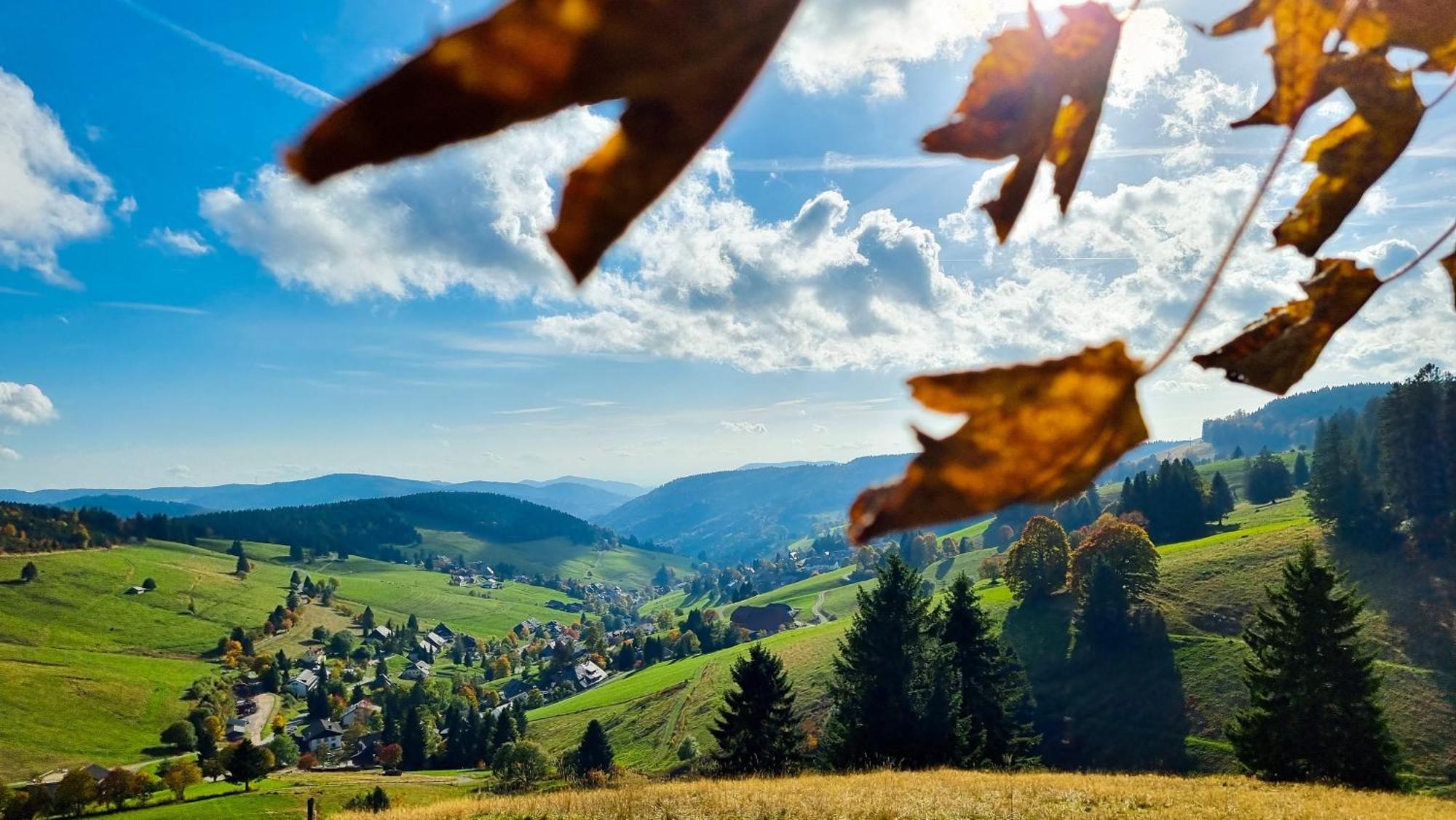 "Schwarzwaldblick" Ferienwohnung 2-4 Pers 65Qm, Schoene Ruhige Suedhanglage Mit Herrl Aussicht Todtnau Buitenkant foto