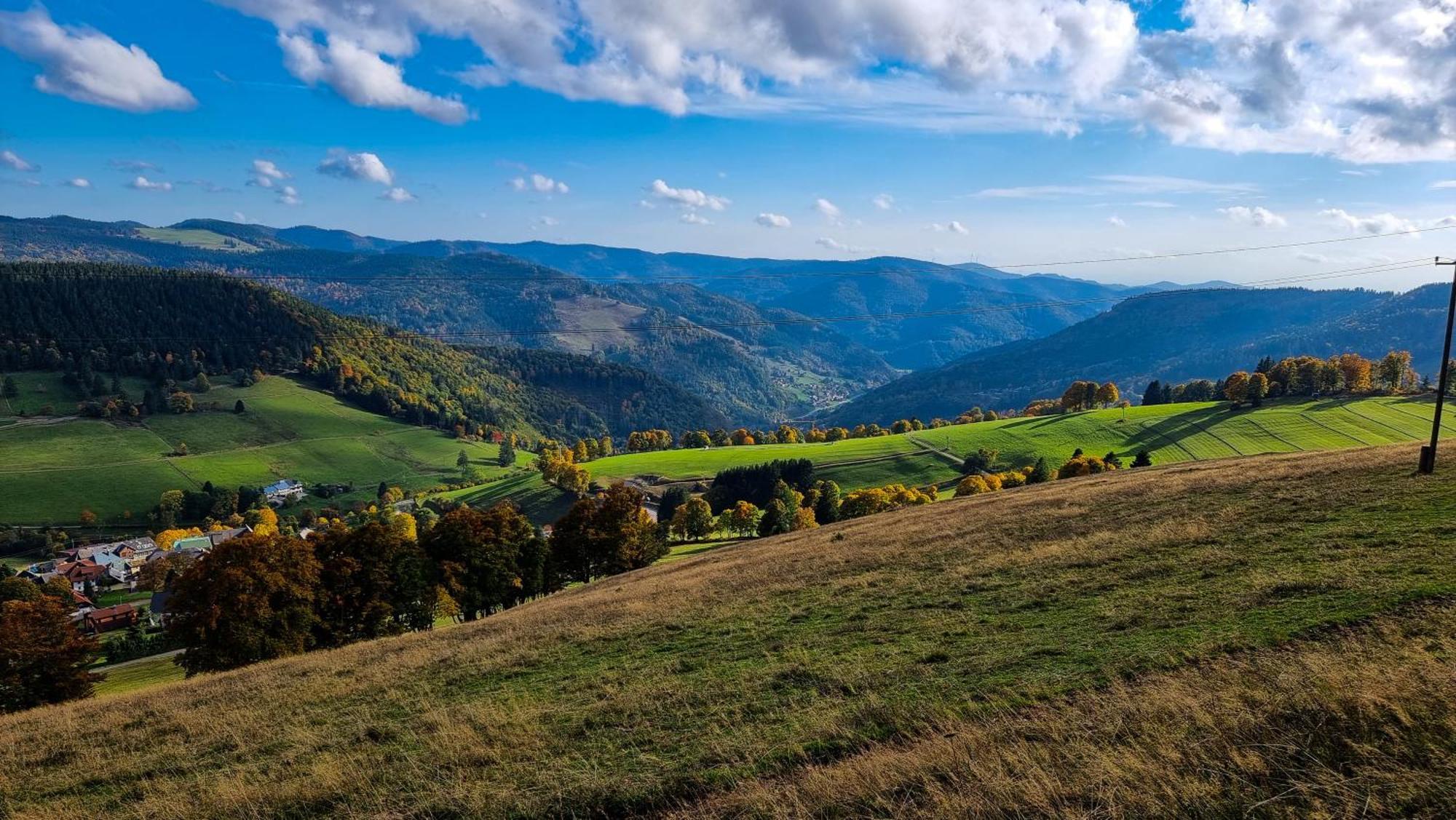 "Schwarzwaldblick" Ferienwohnung 2-4 Pers 65Qm, Schoene Ruhige Suedhanglage Mit Herrl Aussicht Todtnau Buitenkant foto